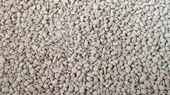 Adicionei isto ao solo — e as plantas deixaram de apodrecer e murchar