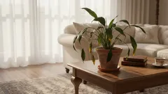 As folhas estão murchas e a amarelar? Não se apresse a regar — descubra a verdadeira causa